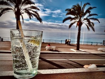 Palm trees on table at beach against sky