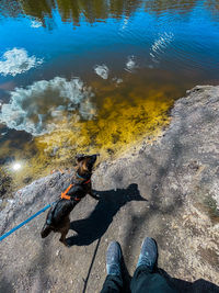 Low section of man legs in water