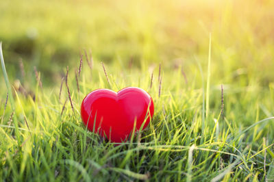 Close-up of red heart shape on grass in field