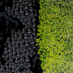 Full frame shot of food for sale