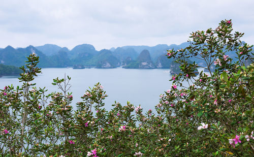 Scenic view of sea and mountains against sky