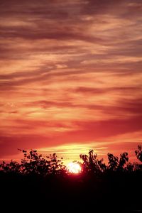 Silhouette trees on landscape against romantic sky at sunset