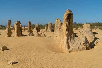 Pinnacles desert in early morning light, nambung national park, western australia