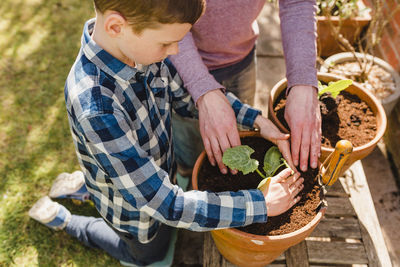 Father and son planting seedling together