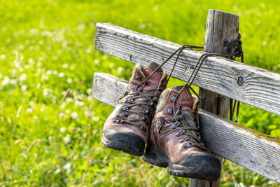 Close-up of person on bench in field