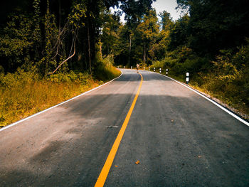 Empty road along trees in forest