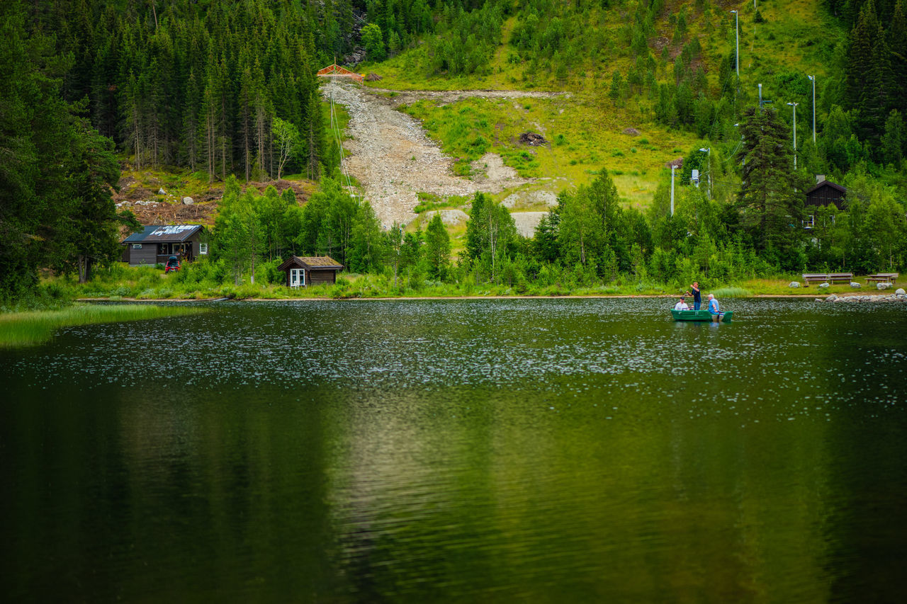 SCENIC VIEW OF LAKE AMIDST TREES IN FOREST