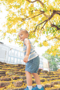 Full length of girl standing by tree during autumn