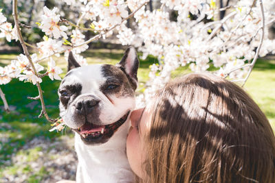 Close-up of dog