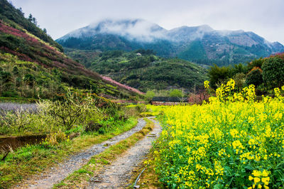 Scenic view of landscape and mountains against sky