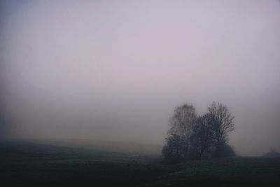 Trees on field against sky during foggy weather