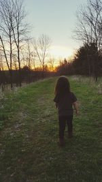 Bare trees on grassy field