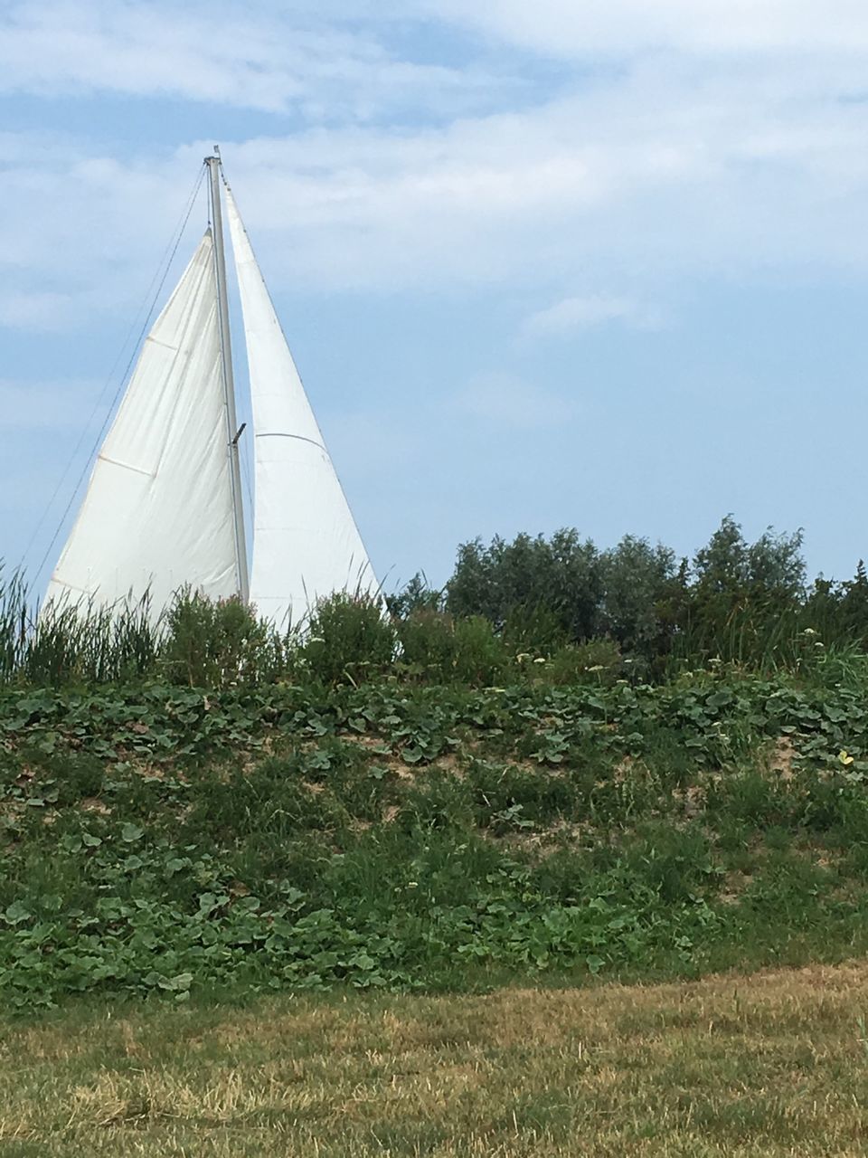 plant, grass, sky, nature, day, cloud - sky, tree, land, field, growth, green color, no people, white color, outdoors, beauty in nature, architecture, built structure, scenics - nature, tranquility, tranquil scene, sailboat