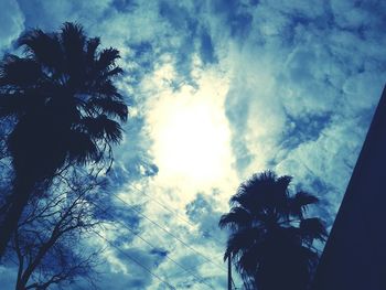 Low angle view of silhouette palm trees against sky