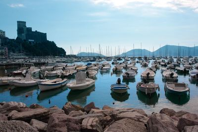 Boats moored at harbor against sky