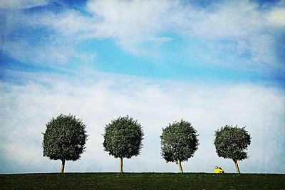 Trees on field against cloudy sky