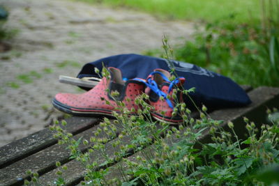 Plants against shoes by shopping bag on wooden bench