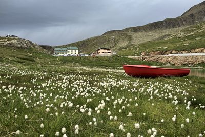 Scenic view of grassy field against cloudy sky