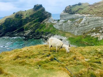 Batanes is a peaceful place
