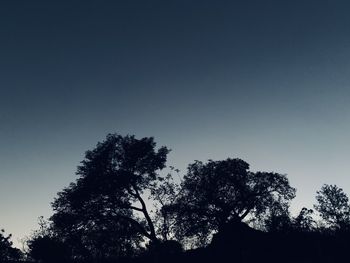 Low angle view of silhouette trees against clear blue sky