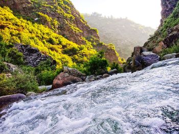 Scenic view of waterfall