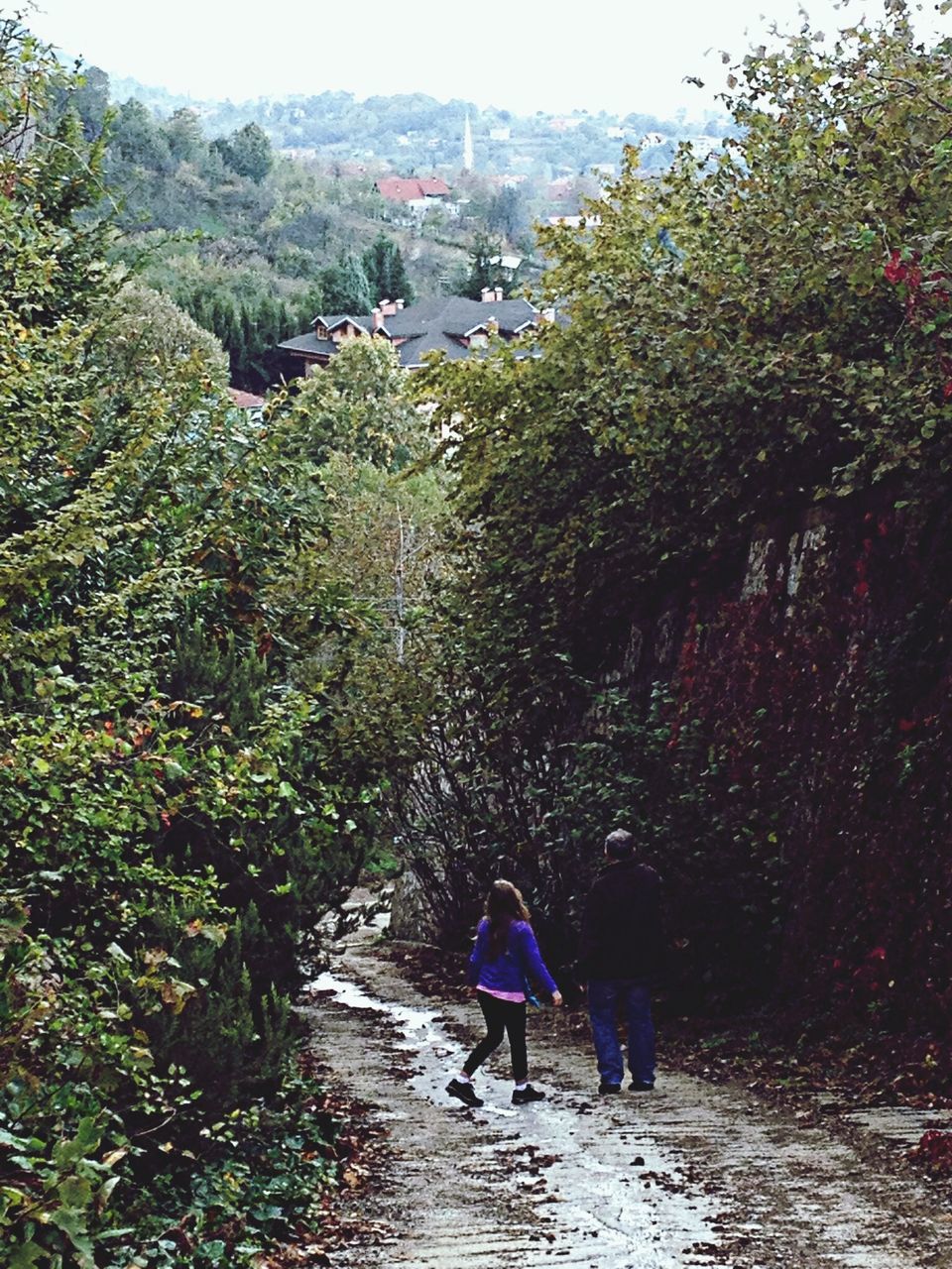 lifestyles, leisure activity, men, tree, full length, rear view, togetherness, person, walking, water, boys, nature, vacations, bonding, casual clothing, beauty in nature