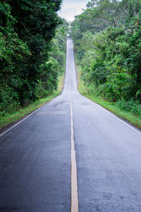 Empty road along trees