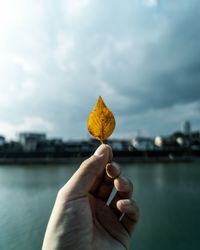 Cropped hand holding leaf against sky