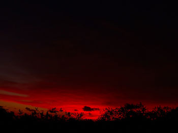 Silhouette trees against sky during sunset