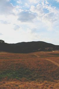 Scenic view of landscape against sky