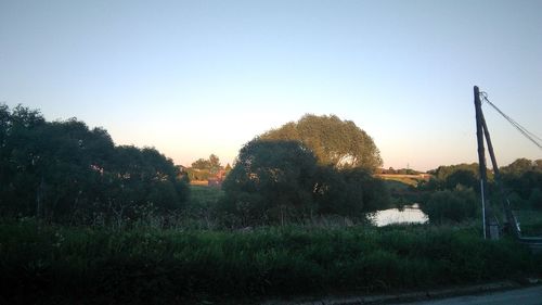 Trees on field against clear sky