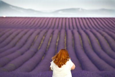 Rear view of woman standing against lavender field against sky