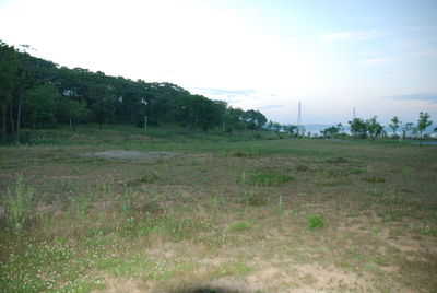 Scenic view of field against sky