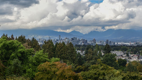 Trees and buildings in city against sky