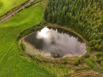 High angle view of lake along trees