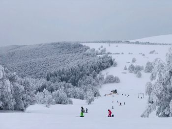 Skiers going down the slope with view of forest covered in snow in front