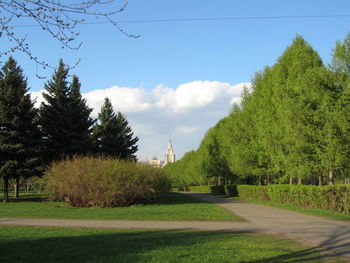 Trees and plants in park against sky