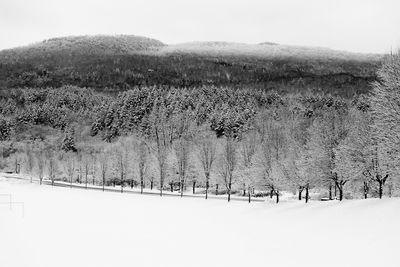 Scenic view of snow field against sky