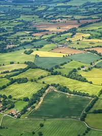 High angle view of agricultural field