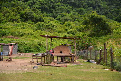 Gazebo on field against trees in forest