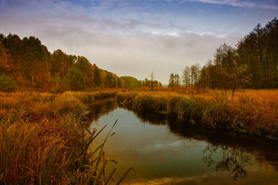 Scenic view of lake by trees against sky