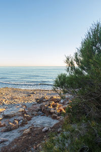 Scenic view of sea against clear sky