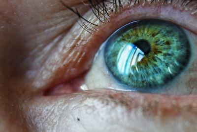 Extreme close-up of human eye