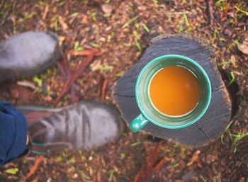 High angle view of tea cup on field