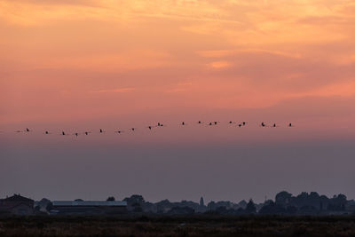 Scenic view of sunset