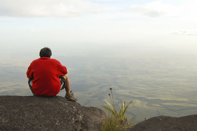 Rear view of man sitting on rock