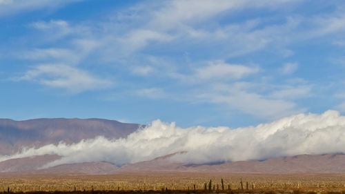 Scenic view of landscape against sky