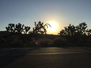 Road by trees against sky during sunset