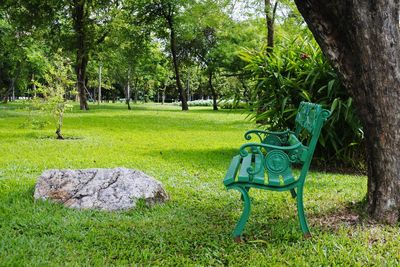 Park bench on grass