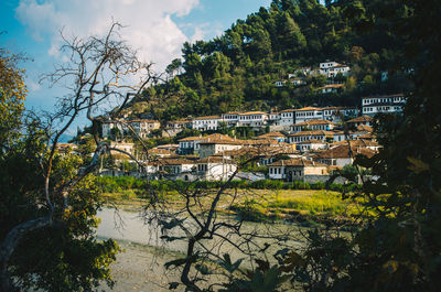 Trees and buildings by river against sky